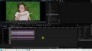 051 Edius X  Hoe meerdere clips tegelijkertijd verlengen