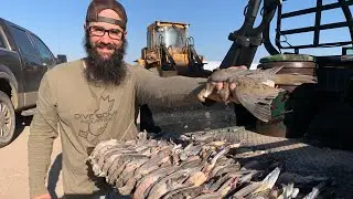 Dove Hunting and They Wanted us to MOVE!!!