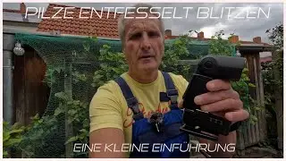Pilze entfesselt Blitzen. Was brauche ich?