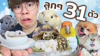 31 สัตว์เลี้ยง กับไข่นกแก้วอีก 17 ฟอง 