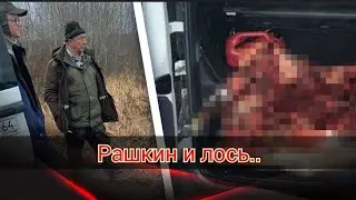 Рашкин и лось... чему верить, а чему нет.?!
