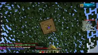 SweetFoal plays 