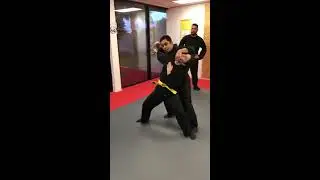 Ninpo Taijutsu movement...