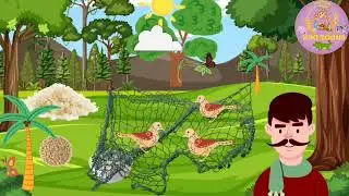 The Pigeons and the hunter animated story for kids|| the hunter & pigeons