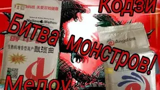 BATTLE OF THE CHINESE MONSTERS: KOJI ANGEL VS. MELLOW!!!