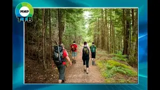 О ЧЁМ НУЖНО ПОМНИТЬ ПЕРЕД ПОХОДОМ В ЛЕС