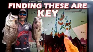 TINY SPOTS HOLD BIG FISH