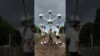 Shuffle Con Amigos