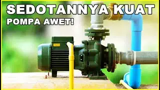 10 MESIN POMPA AIR TERBAIK 2022 HEMAT LISTRIK & AWET | Daya Hisap Kuat, Semprotan Kencang!