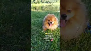Клятва💞/#склифосовский /#павлова /#кривицкий /#еленаяковлева /#
