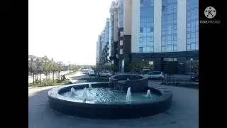 Ассорти осени.