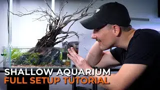 Aquascaping a Shallow Nano Aquarium with Massive Wood!