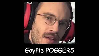 PewDiePie Is Gay ??