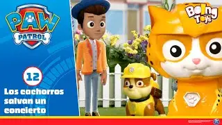 Paw Patrol | Los cachorros salvan un concierto 🎸| Temporada 10 - Episodio 12