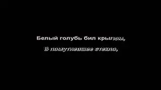 А. Розенбаум - Я увидел во дворе стрекозу (караоке)