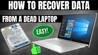 HOW TO RECOVER DATA FROM A DEAD LAPTOP (November 2025)