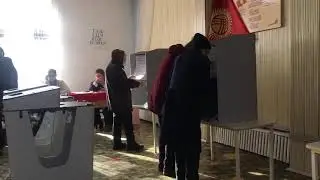 Выборы в парламент: участок 1126, два человека в кабине для голосования.