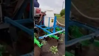 Кентавр 244 PRO окучивает и опрыскивает картофель. Им же и посадить можно. Польский окучник KERLAND