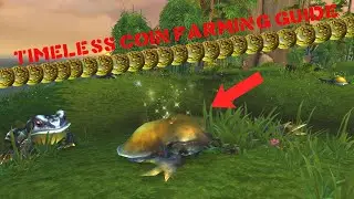 WoW Timeless Isle Farm - Timeless Coin Farming Hyperspawn Shadowlands 2022