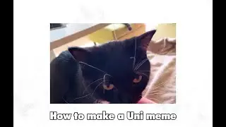 How to make a Uni meme