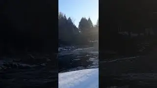 Winter Stream
