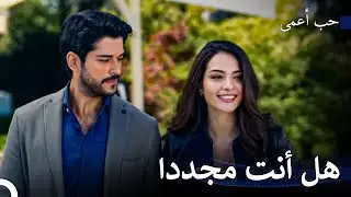 القدر جمعهما في نفس الشركة - حب أعمى