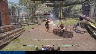 The Elder Scrolls Online