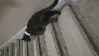 the grand escape