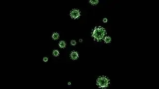 Mole  Corona Virus Green Screen 4K UHD