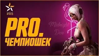 MIDNIGHT DEN. PRO чемпионов