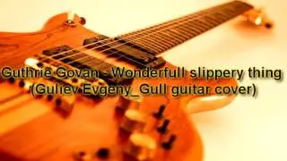 Guthrie Govan-Wonderfull slippery thing