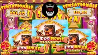 BETERA, Dog House Купил бонус и словил 1000х+, Бетера заносы.