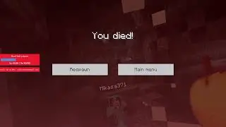 Jangan Lakukan hal bodoh ini ketika sedang melawan wither #clip