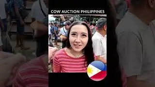 PHILIPPINES COW AUCTION SHORT