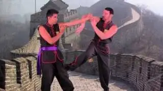 Learn Wing Chun's Closing the Gap in One Minute | Sifu Tei