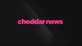 ENTITY Academy CEO Jennifer Schwab Featured on Cheddar News