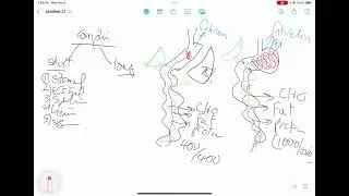 Short brief explanation on Sleeve