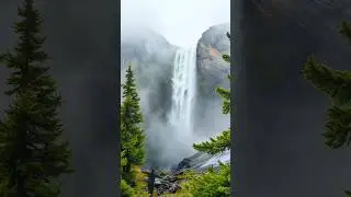 #naturevideo   #shorts #shortsvideo  #statusvideo #statusvideo #trending #naturevideo #relaxingmusic