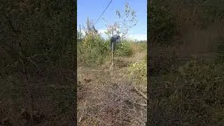 31 декабря 2023 г.