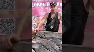 Улов нашего гостя