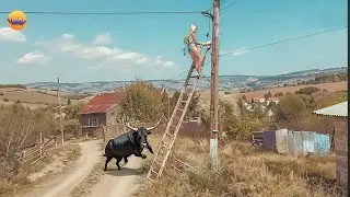 Поверить или Нет! Нелепые Случаи Которые Удалось Снять на Камеру!