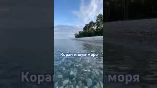 Коран и шум моря для вас #islamicvideo #quran #quranic #sea #islamicshorts #islamicstatus #islam