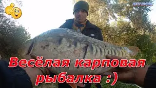 Карповая Рыбалка с приключениями 😂 Такого Вы еще не видели...