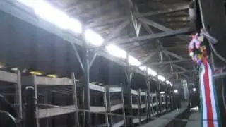 Schindler's and Auschwitz 148