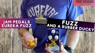 Jam Pedals Eureka Fuzz - Finally A Fuzz That I Love!