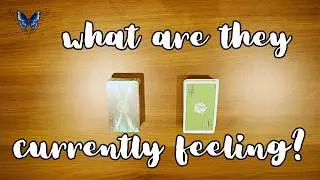 💖💘💝 WHAT ARE THEY CURRENTLY FEELING?  😍🥰  Timeless Tarot Reading 🔮💫