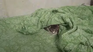 Федя замёрз.
