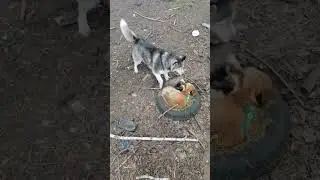 Боится она. Конечно... 