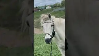 Посев начат 🌤️🤪 