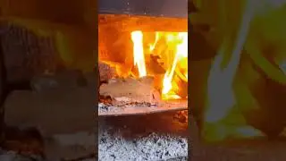 Таёжный быт. Заготовка брёвен на строительство избы. 
